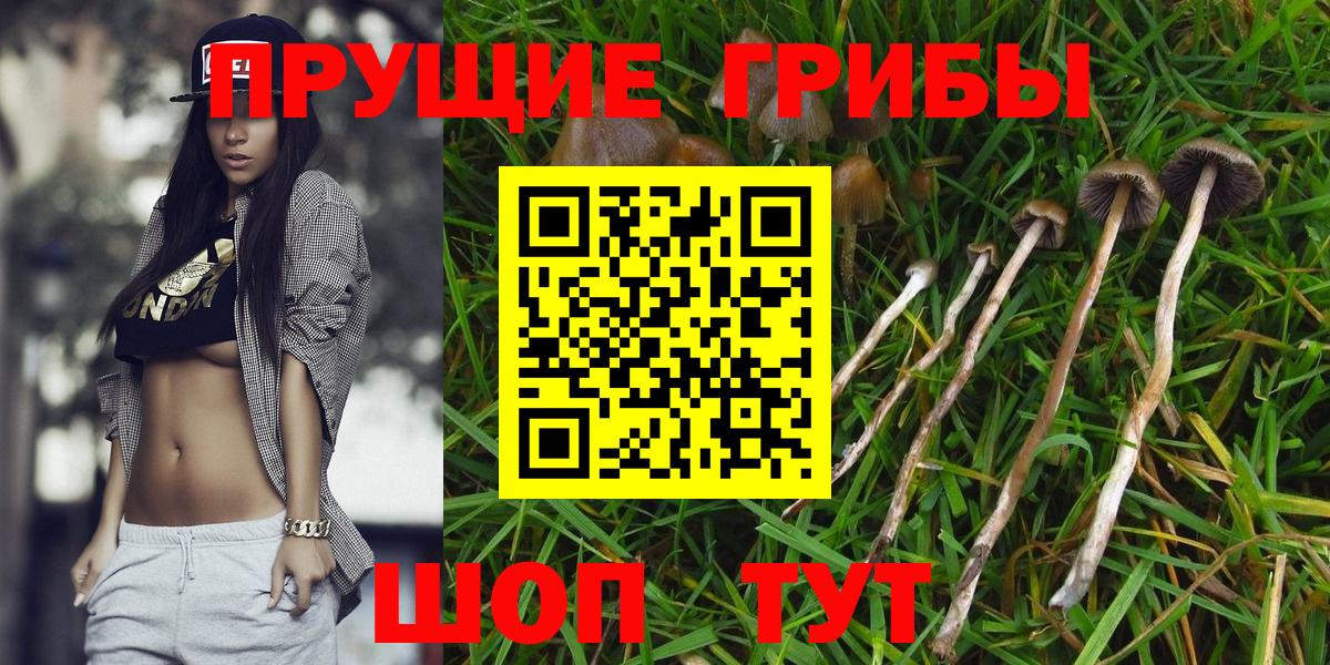 Галлюциногенные грибы мухоморы Большой Камень