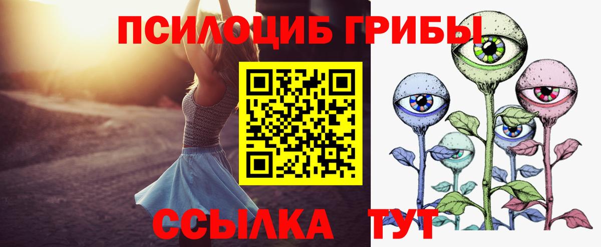 Большой Камень  Псилоцибиновые грибы Psilocybe  Вход с VPN 